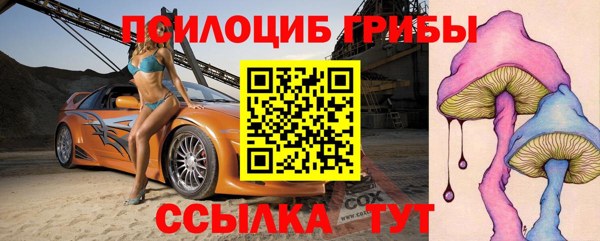 Псилоцибиновые грибы мицелий Дедовск