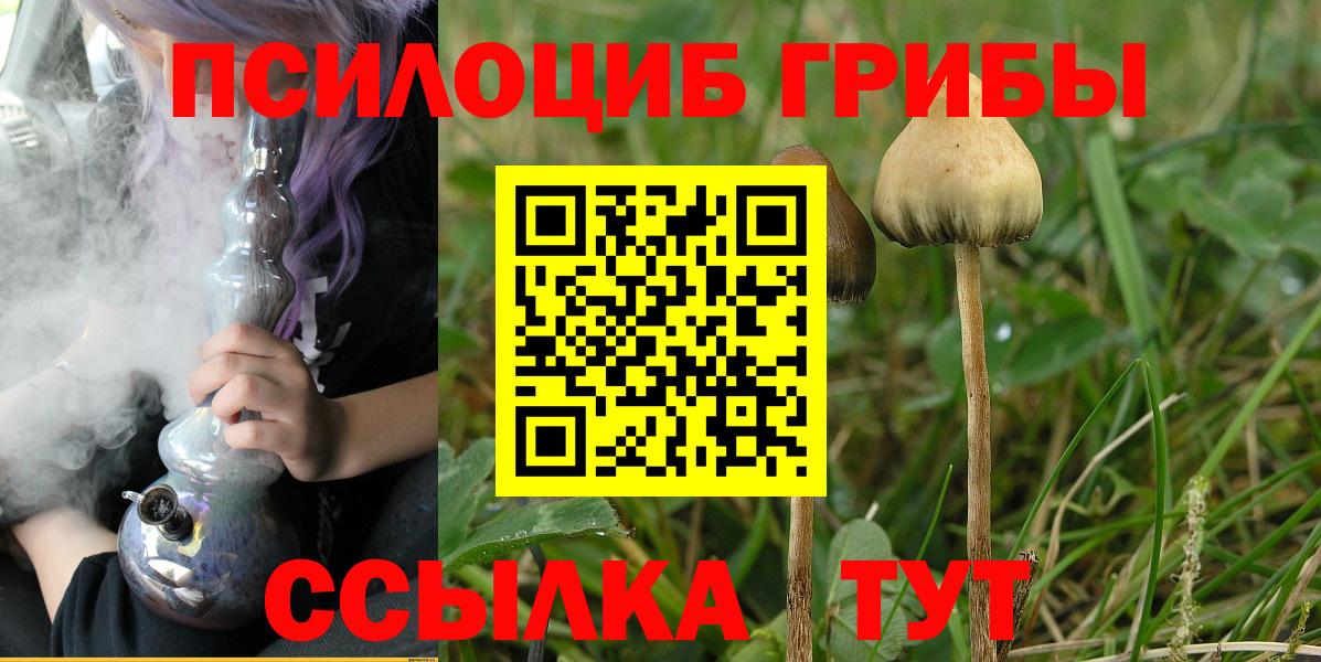 Дедовск  Псилоцибиновые грибы Psilocybe  Вход с VPN 